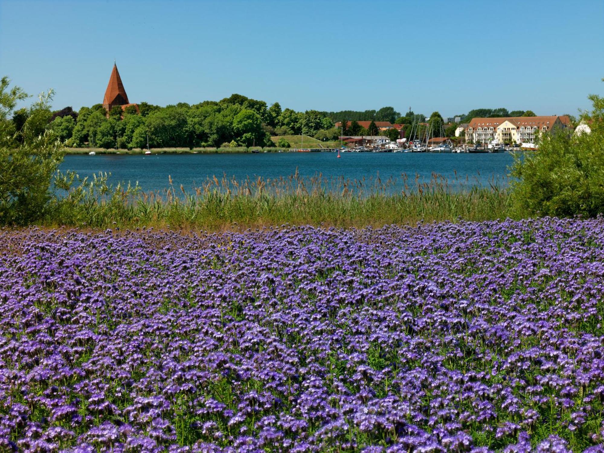 Апартаменты Hafenkieker Kirchdorf  Экстерьер фото